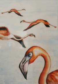 Flamigos ~ 30 x 40 cm ~ Aquarellfarben auf Papier
