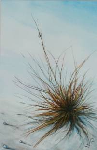 Wintergrass ~ 30 x 40 cm ~ Aquarellfarben auf Papier