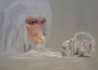 Affe mit Kind beim waermenden Bad ~ 50 x 70 cm ~ Pastellkreide mit papier