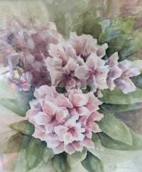 Rhododendron ~ 45 x 35 cm ~ Aquarell auf Papier